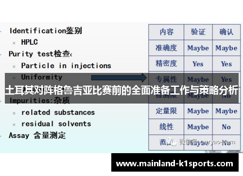 土耳其对阵格鲁吉亚比赛前的全面准备工作与策略分析