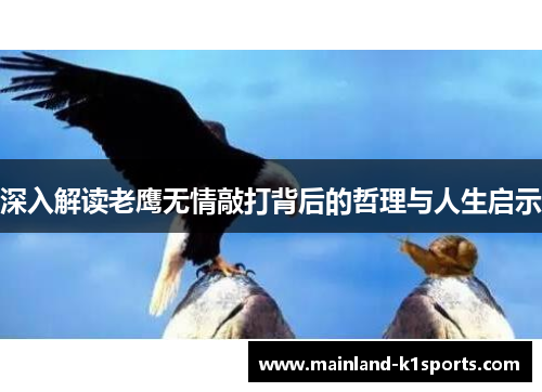 深入解读老鹰无情敲打背后的哲理与人生启示