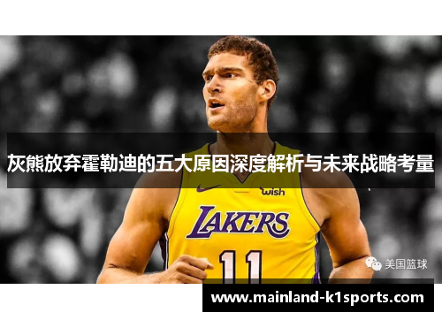 灰熊放弃霍勒迪的五大原因深度解析与未来战略考量