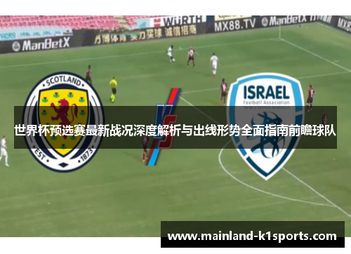 世界杯预选赛最新战况深度解析与出线形势全面指南前瞻球队