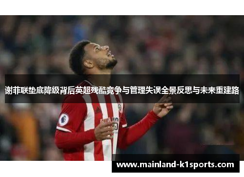 谢菲联垫底降级背后英超残酷竞争与管理失误全景反思与未来重建路